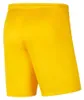 Nike - Pánske šortky „Dry Park III“ PP5203 (XL) (žlté) Náhľad obrázku produktu 2