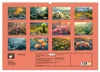 Kaktussi (Wandkalender 2027 DIN A2 quer), CALVENDO Produktbild-Vorschau 2