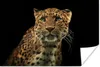 MuchoWow® Poster Panther - Schwarz - Grün 30x20 cm - Produktbild-Vorschau 1