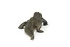 Papo Alligator, 3 Jahr(e), Wild animal kingdom, Grün, PVC Produktbild-Vorschau 8