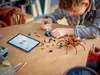 76434 - LEGO Harry Potter - Aragog v Zakázaném lese™ Náhled obrázku produktu 9