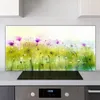 Coloray Küchenrückwand 140x70 Spritzschutz aus Glas - Produktbild-Vorschau 2