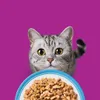 Whiskas Nassfutter für ausgewachsene Katzen Produktbild-Vorschau 9