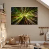 MuchoWow® Poster Wald - Baum - Holz 120x80 cm - Bilder Produktbild-Vorschau 6