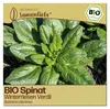 Samenliebe  Spinat Samen | Winterriesen Verdil - winterhart Produktbild-Vorschau 1