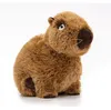 NICI Capybara Kuscheltier Capy-Barbara 27cm sitzend - Produktbild-Vorschau 13