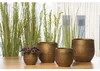 Blumentopf Passion for Pottery Boaz Steinzeug Ø 24 cm H 22 Produktbild-Vorschau 2