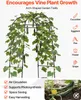SucceBuy Pomocník na pestovanie, mreža, pomocník na Náhľad obrázku produktu 4