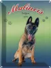 vianmo Blechschild 40x30 cm Hund Malinois Belgien 1899 Produktbild-Vorschau 1