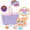 Zestaw Little Live Pets „Kociak Mama Surprise Kitten” Podgląd zdjęcia produktu 8