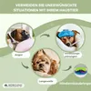 Mobiclinic Pets, Interaktiver Fressnapf, Für Hunde, Doggy, Produktbild-Vorschau 6