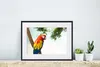 MuchoWow® Gerahmtes Poster Papagei - Vogel - Regenbogen - Produktbild-Vorschau 6