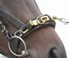 Busse Kappzaum PROFESSIONAL schwarz/Messing, Produktbild-Vorschau 14