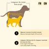 Lit pour chat Lionto, panier douillet élégant avec une Voir les images du produit 6