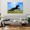 Bilder auf glas - Schwarzes Pferd Pferd Galopp - 100x70cm - Produktbild-Vorschau 6