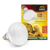Terra Exotica D3 UV Heat Spot Reptilienlampe 125W, fördert Produktbild-Vorschau 1