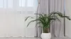 NOW-ART Okenní záclony Voile White 200x170 cm - 1 kus - Náhled obrázku produktu 18