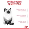Royal Canin Kitten, Kitten, 10 kg, Antioxidantien enthalten Produktbild-Vorschau 14