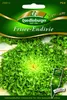 Frisee-Endivie, Myrna Produktbild-Vorschau 1