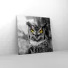 Bild auf Leinwand - Leinwandbild - Eule Vogel Natur - Produktbild-Vorschau 4