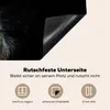 KitchenYeah© Herdabdeckplatte Löwe - Licht - Porträt , Produktbild-Vorschau 5
