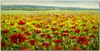 Coloray Küchenrückwand 140x70 Spritzschutz aus Glas - Produktbild-Vorschau 1