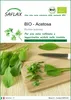 SAFLAX  -- Acetosa - 400 semi - Rumex Anteprima dell’immagine prodotto 1