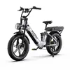 Elektrofahrrad, 250W E-Bike mit 2*18Ah herausnehmbarem Produktbild-Vorschau 2