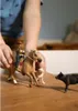 schleich Western Riding Adventures, 3 rok / roky, Náhľad obrázku produktu 14