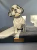 Matelas orthopédique pour chien Dogeste 90x70 cm taille XL Voir les images du produit 9