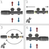 A four-panel diagram illustrating the installation steps for a heating manifold. Produktbild-Vorschau