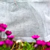 Osłona na rośliny KADAX 100 x 160 cm, zestaw 3 sztuk, Podgląd zdjęcia produktu 5