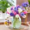 Bloomique - Mix 10 - Hyacinthus - Hiacynt - Mix kolorów - Podgląd zdjęcia produktu 6