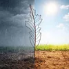 Grate per rampicanti Relaxdays, set da 2, A x L: 100 x 30 Anteprima dell’immagine prodotto 5