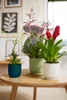 Blumentopf Elho Vibes Fold Kunststoff Ø 16,1 cm H 14,8 cm Produktbild-Vorschau 5