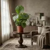 Green boutiQ - Zimmerpflanze - Korbmarante - Calathea Produktbild-Vorschau 4