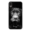 MuchoWow® Handyhülle Schutzhülle Hülle für iPhone XR Hund - Produktbild-Vorschau 1