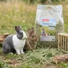 PANTO Premiumheu 1kg - Nagerfutter, für Kaninchen, Produktbild-Vorschau 3
