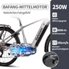 SAXXX Trekking E-Bike 28 Zoll, 250W bürstenloser Produktbild-Vorschau 10