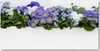 Tulup® Glas-Bild - 100x50 -Wandkunst - Wandbild hinter Produktbild-Vorschau 1