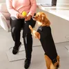 Suitical Recovery Suit® Dog schwarz, Größe: M Produktbild-Vorschau 4