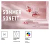 Ritzenhoff 6011004 Aperitifglas 2er-Set F25 SOMMERSONETT Produktbild-Vorschau 5