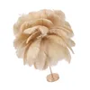 A feather table lamp on a white background. Voir les images du produit