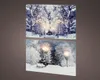 LED obraz, 58x38 cm, 2 typy, KSD Náhled obrázku produktu 1