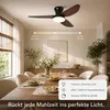 Ventilateur de Plafond 100cm avec Éclairage et Télécommande Voir les images du produit 11