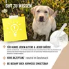 REAVET Magenmild Pulver für Hunde 500g – Für Hunde mit Produktbild-Vorschau 6