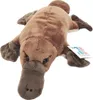 Süßes Plüsch Schnabeltier 28 cm, waschbares Kuscheltier für Produktbild-Vorschau 4