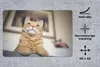 MuchoWow® Schreibtischunterlage Katze - Bank - Orange 60x40 Produktbild-Vorschau 2