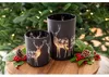 EDZARD Glas Windlicht Hirsch Tiu H 18 cm Produktbild-Vorschau 7