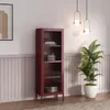 A tall, narrow cabinet with glass doors stands in a room with decorative wall paneling and a large potted plant. Náhľad obrázku produktu